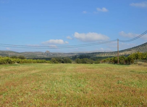 Landparzelle Agios Adrianos, Nea Tiryntha 4.770 qm - 23