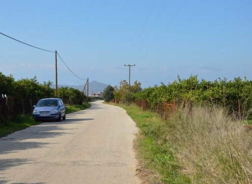 Landparzelle Agios Adrianos, Nea Tiryntha 4.770 qm - 24