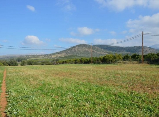 Landparzelle Agios Adrianos, Nea Tiryntha 4.770 qm - 25