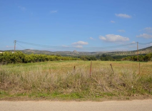 Landparzelle Agios Adrianos, Nea Tiryntha 4.770 qm - 3