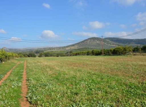 Landparzelle Agios Adrianos, Nea Tiryntha 4.770 qm - 4