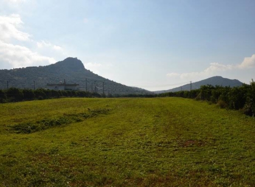 Landparzelle Agios Adrianos, Nea Tiryntha 4.770 qm - 5