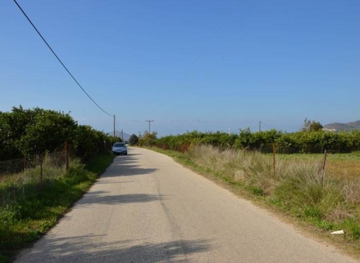 Landparzelle Agios Adrianos, Nea Tiryntha 4.770 qm - 6