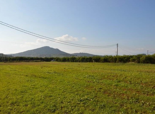 Landparzelle Agios Adrianos, Nea Tiryntha 4.770 qm - 7