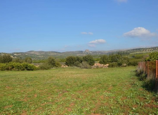 Landparzelle Agios Adrianos, Nea Tiryntha 4.770 qm - 8