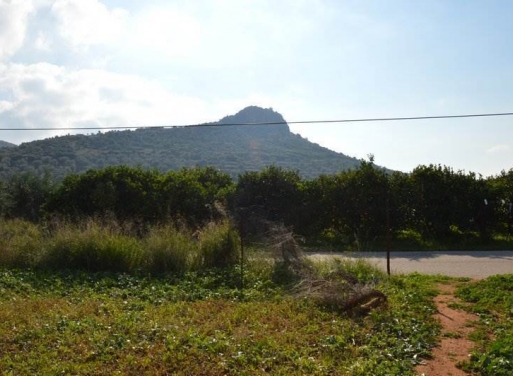 Landparzelle Agios Adrianos, Nea Tiryntha 4.770 qm - 9