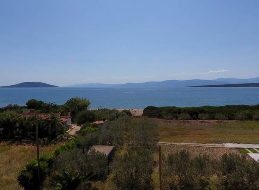 Αγροτεμάχιο Κάντια, Ασίνη 4.850 τ.μ. - 10