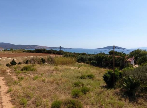 Αγροτεμάχιο Κάντια, Ασίνη 4.850 τ.μ. - 11