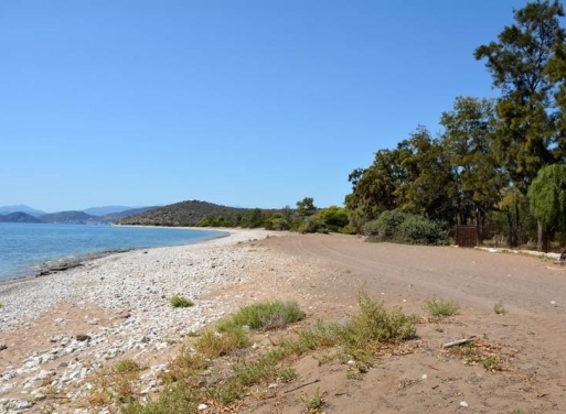 Αγροτεμάχιο Κάντια, Ασίνη 4.850 τ.μ. - 15