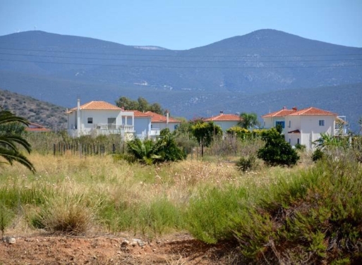 Αγροτεμάχιο Κάντια, Ασίνη 4.850 τ.μ. - 17