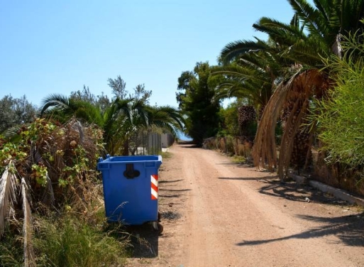 Αγροτεμάχιο Κάντια, Ασίνη 4.850 τ.μ. - 19