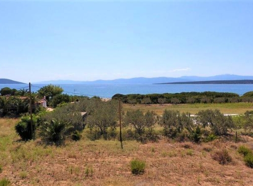 Αγροτεμάχιο Κάντια, Ασίνη 4.850 τ.μ. - 2