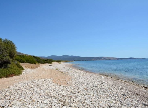 Αγροτεμάχιο Κάντια, Ασίνη 4.850 τ.μ. - 22
