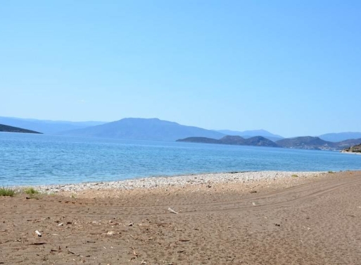 Αγροτεμάχιο Κάντια, Ασίνη 4.850 τ.μ. - 24