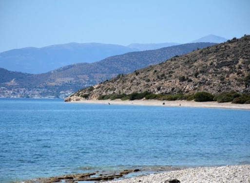 Αγροτεμάχιο Κάντια, Ασίνη 4.850 τ.μ. - 25