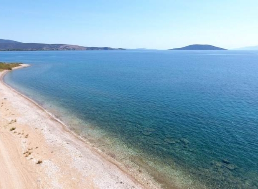 Αγροτεμάχιο Κάντια, Ασίνη 4.850 τ.μ. - 4