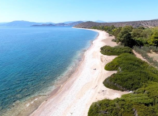Αγροτεμάχιο Κάντια, Ασίνη 4.850 τ.μ. - 6