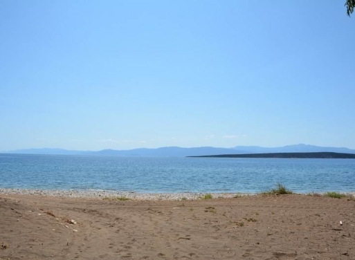Αγροτεμάχιο Κάντια, Ασίνη 4.850 τ.μ. - 8