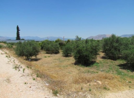 Земельный участок Tirintha, Nea Tiryntha 3.900 кв.м - 4