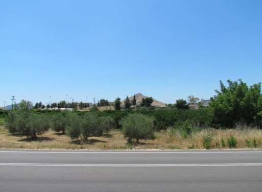 Земельный участок Tirintha, Nea Tiryntha 3.900 кв.м - 6