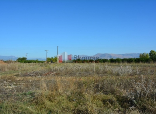 Nea Kios Agricultural Land  5500 m2