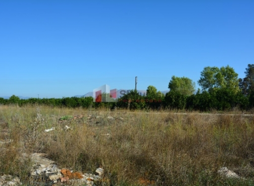  Nea Kios Terrain Agricole 5.500 m2