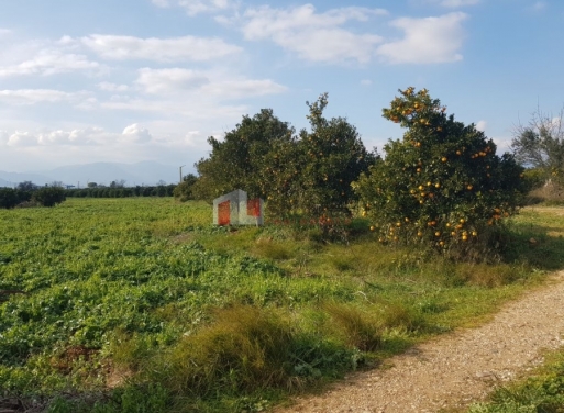 Agia Triada, Midea Agricultural Land  5000 m2