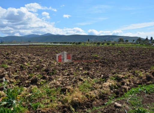 Iria, Asini Agricultural Land  30000 m2