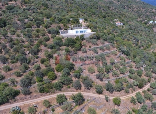Μονοκατοικία Τυρός, Απόλλωνας 137 τ.μ. - 24