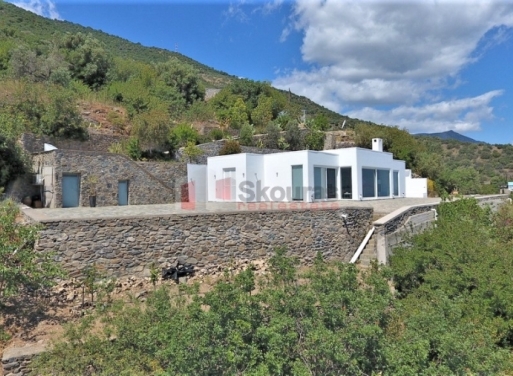 Μονοκατοικία Τυρός, Απόλλωνας 137 τ.μ. - 25